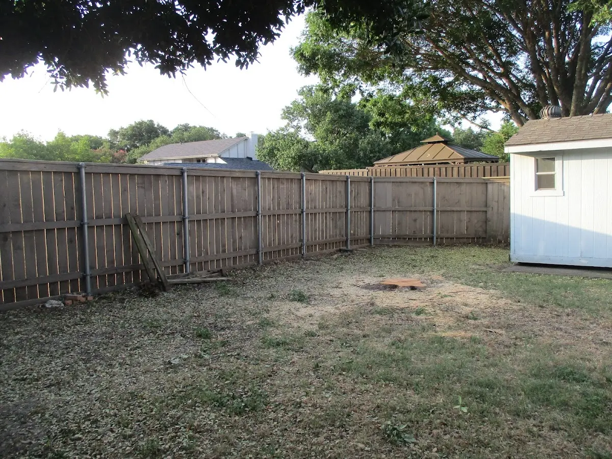 Cleared yard after professional tree removal in New Salem